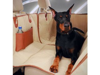 Waterproof Car Dog Hammock with Side Flaps Protect Your Car and Pamper Your Pup! -TN