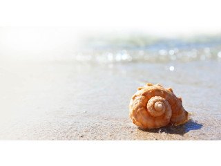 Individual Adult Counseling Boston