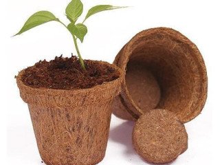 Coir Pots For Plants in South Africa